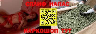 mdpv Малоярославец